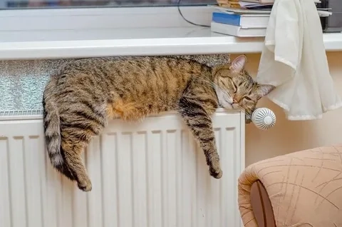 Загруженное изображение