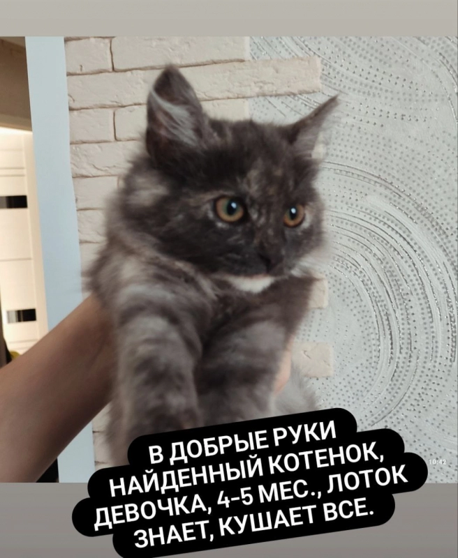 Ребята, выручайте!!! опубликовано Соня Бенгальская