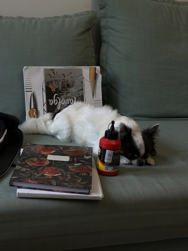 Ученье свет. А про любовь когда? опубликовано Цефас Чихуахуа