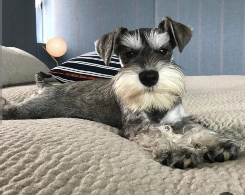 Загруженное изображение