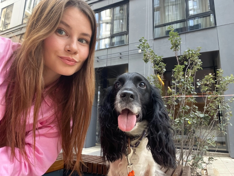 Двое из ларца опубликовано Шелби Спаниель русский охотничий