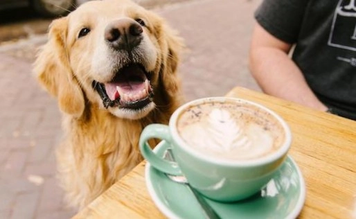 Загруженное изображение