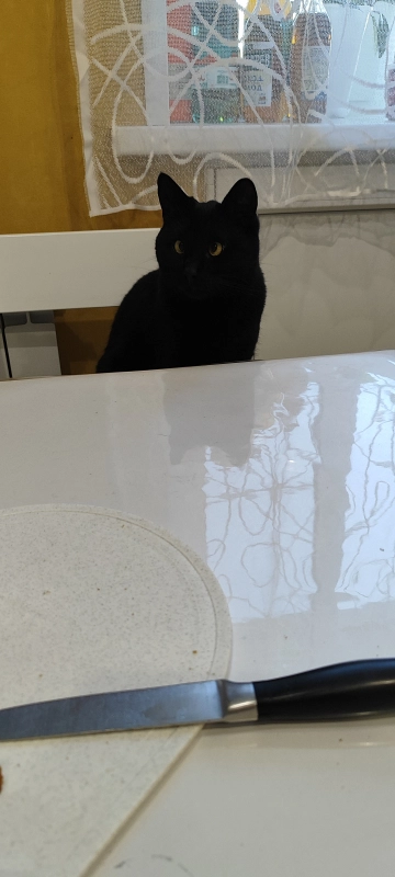 Самый голодный 2 опубликовано Макс