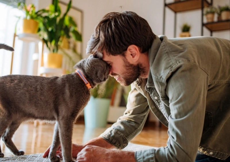 Загруженное изображение