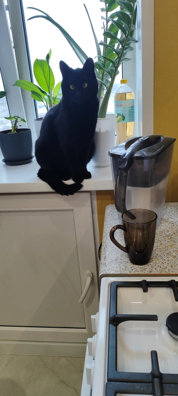 Контролёр опубликовано Макс