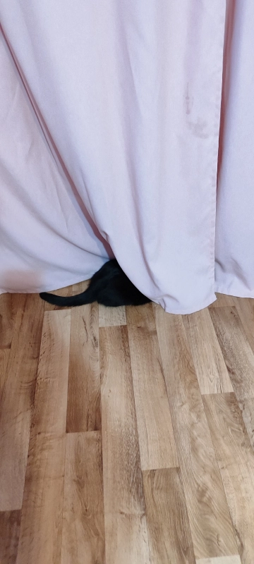 Спрятался, чтобы не выгнали из комнаты опубликовано Макс