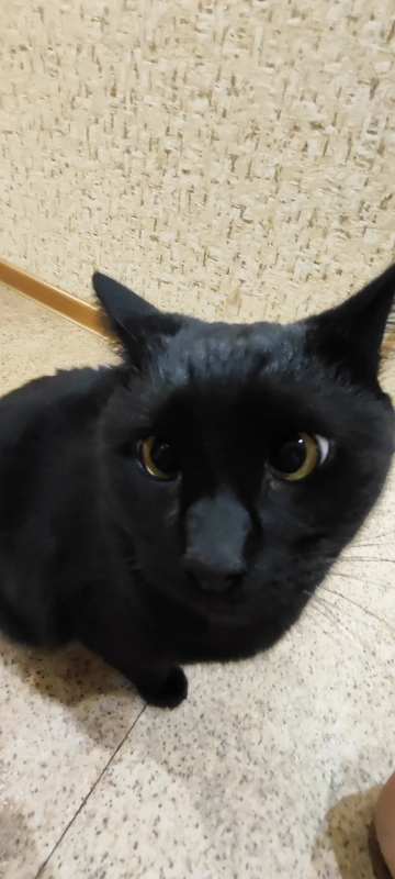 Злой😾 опубликовано Макс