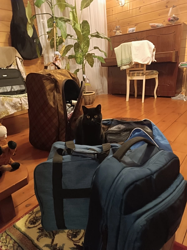 Контролирую сборы 🧐 опубликовано Геннадич