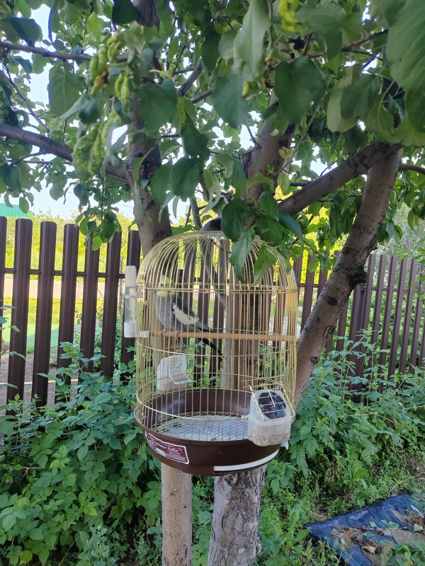 Вспоминая летние деньки опубликовано Саша Корелл