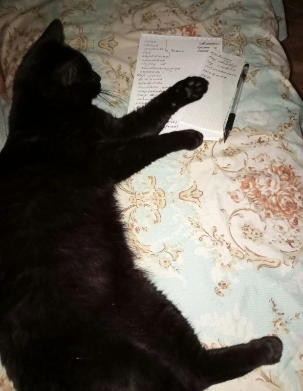 Составляем список на Новый год опубликовано Черныши: Барсик и Масик