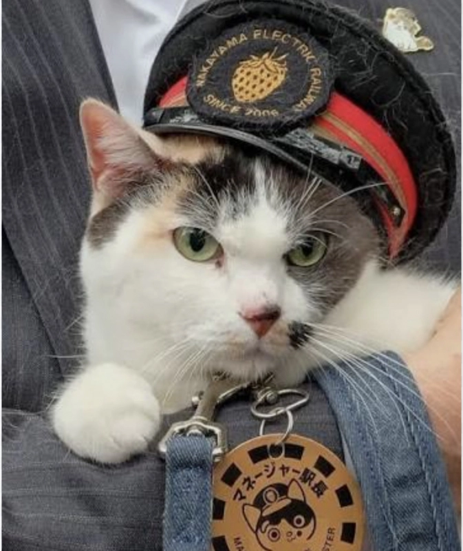 Загруженное изображение