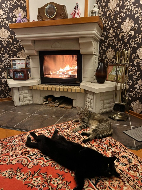 Греем лапки 🐾 у камина после прогулки в -20 🥶 опубликовано Геннадич