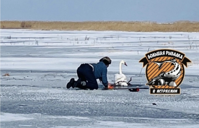 Загруженное изображение