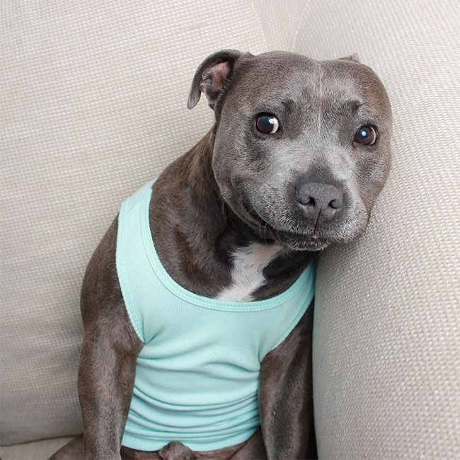 Загруженное изображение