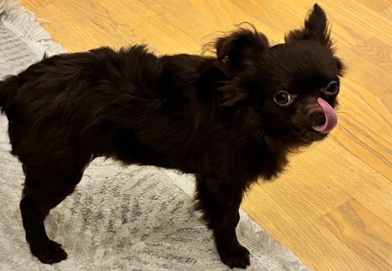 Кадр пойман опубликовано Чаки