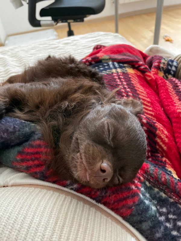 Как проводите свои выходные ? опубликовано Чаки