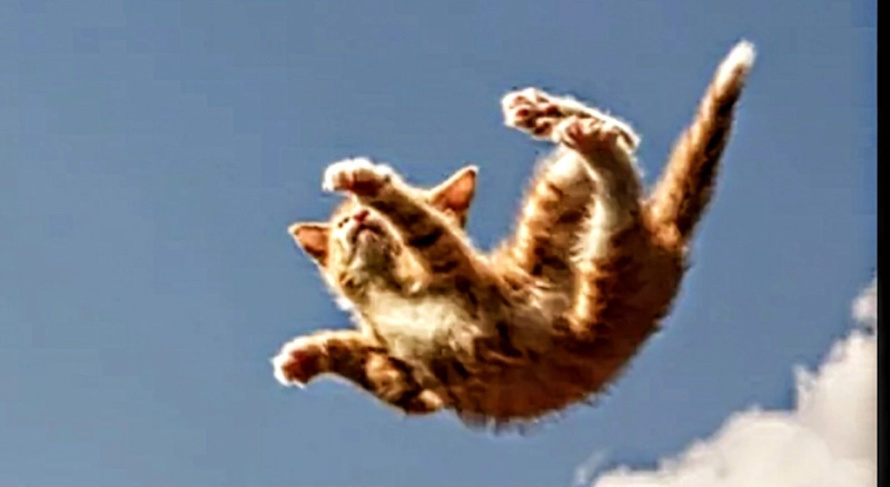 Загруженное изображение