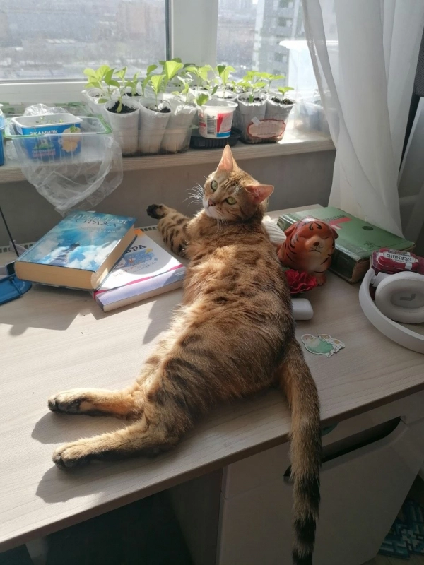 Не. Трогай. Мои. Саженцы! опубликовано Соня Бенгальская