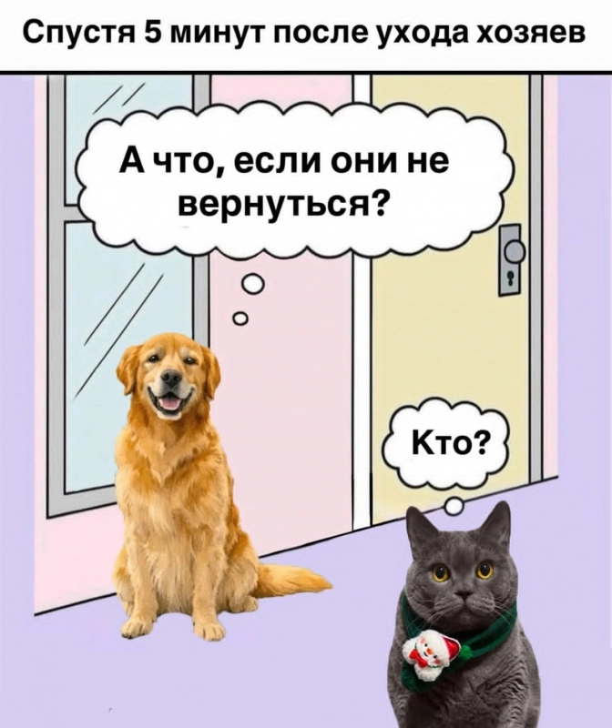 Кошки VS Собаки опубликовано Юморной кот