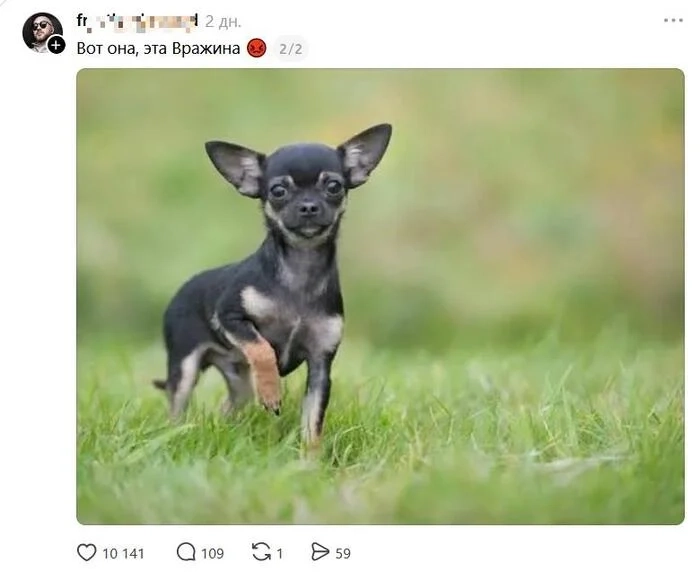 Загруженное изображение