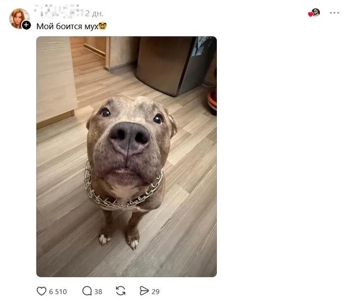 Загруженное изображение