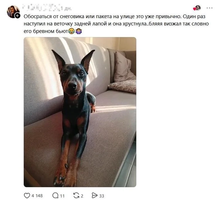 Загруженное изображение