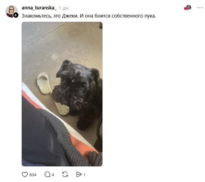 Загруженное изображение