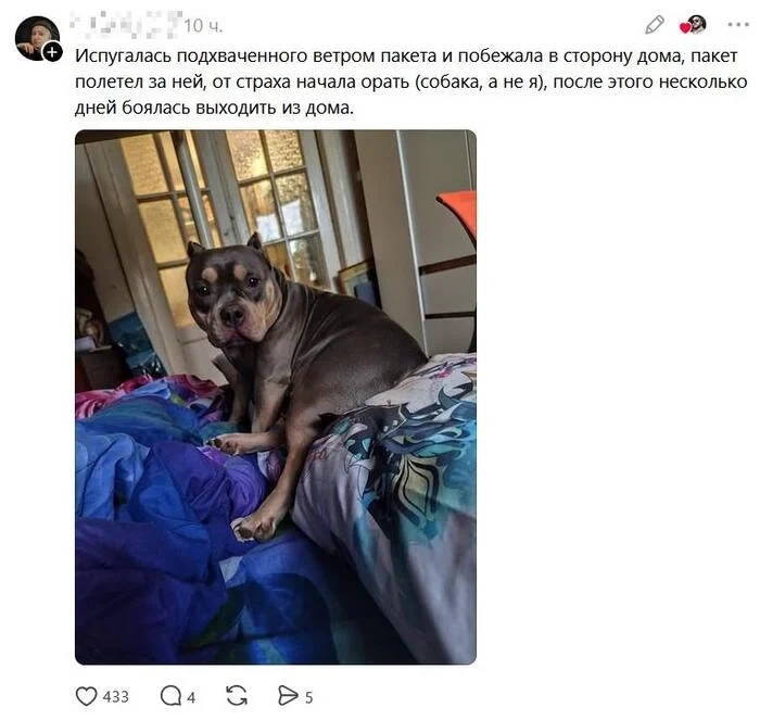 Загруженное изображение