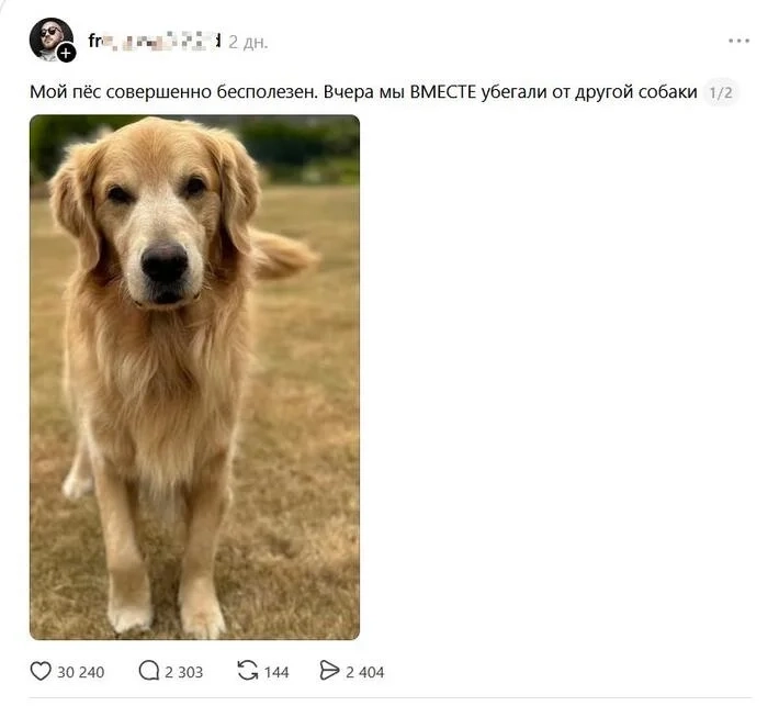Загруженное изображение
