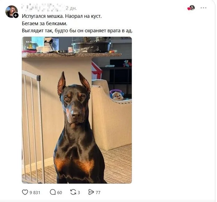 Загруженное изображение