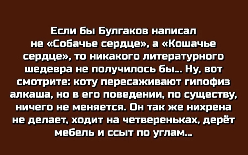 И то правда опубликовано Юморной пёс