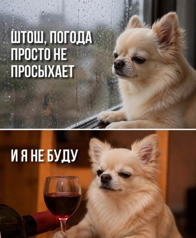 Такое вот чудесное лето опубликовано Рикки