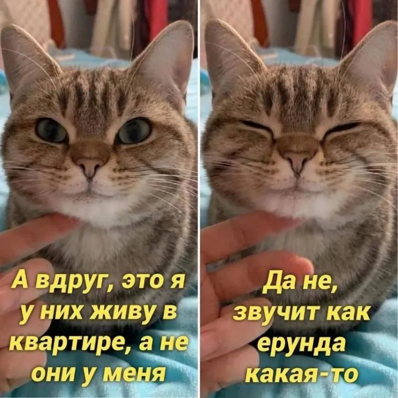 Подумается же такое... опубликовано Юморной кот